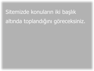 Sitemizde konuların iki başlık altında toplandığını göreceksiniz.