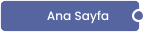 Ana Sayfa